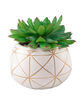 FLORA BUNDA Geometric Succulent Plant image number 1