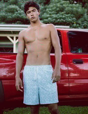 RSQ Mens 6.5" Swim Trunks Primary Image