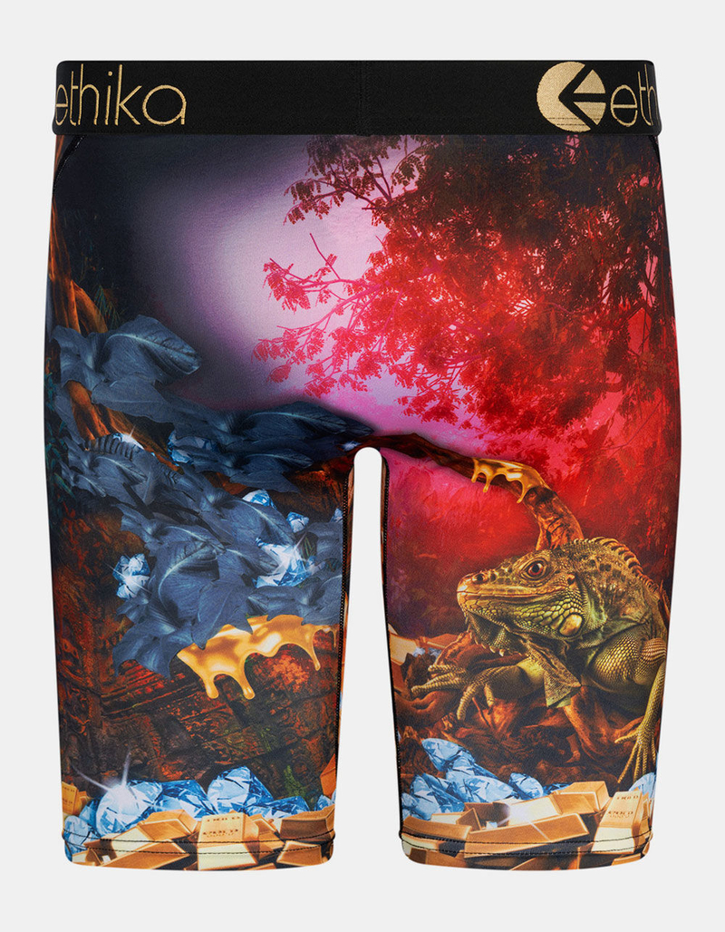 ETHIKA Dreams Of Bounty Boys Boxer Briefs image number 2