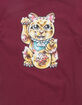 DGK Golden Cat Mens Tee image number 2