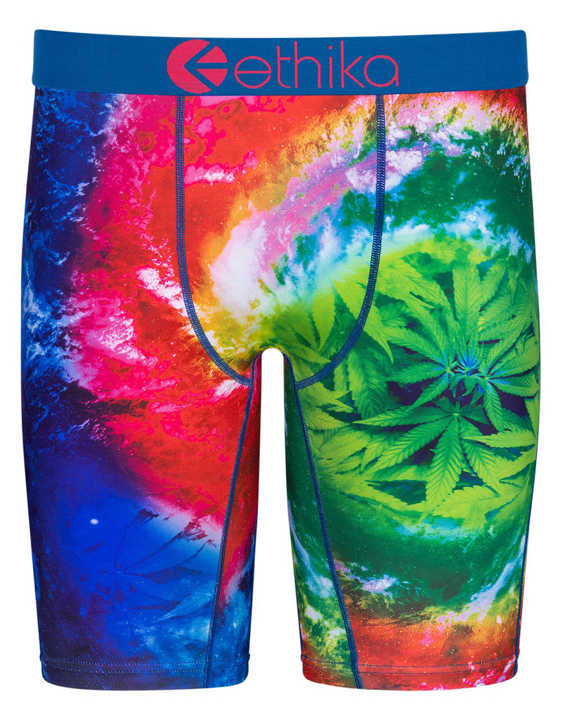 ETHIKA Greens Mens Boxer Briefs image number 0