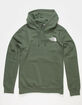 THE NORTH FACE Box NSE Mens Hoodie image number 2