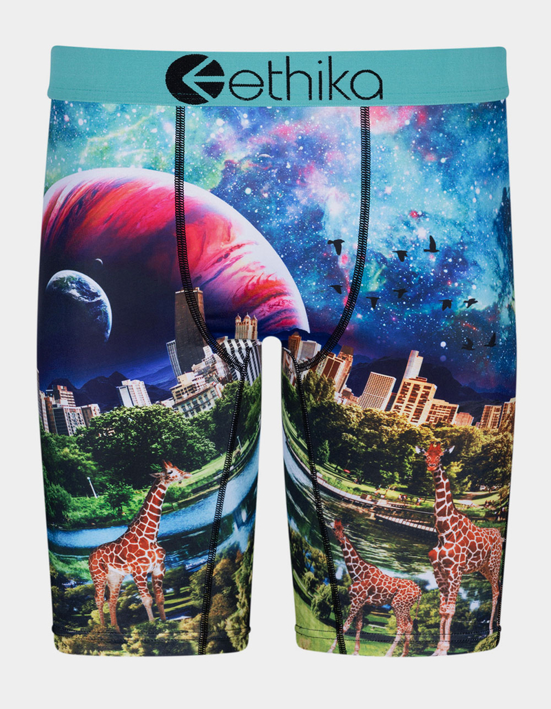 ETHIKA Giraffika Staple Boys Boxer Briefs image number 0