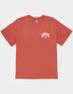 LEVI'S Americana Authentic Mens Tee image number 2