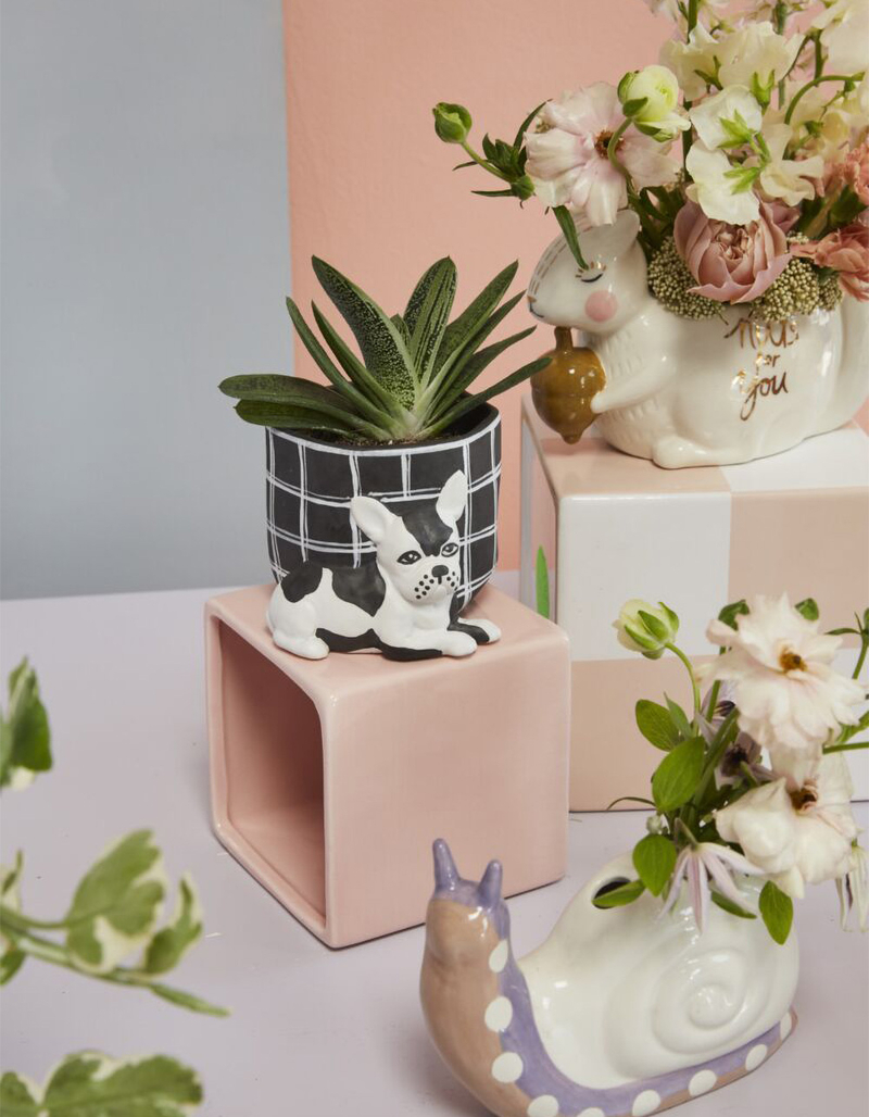 Pampered Pet Pot Frenchie image number 1