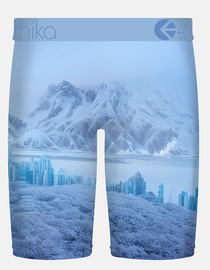 ETHIKA Bomber City Staple Mens Boxer Briefs image number 1