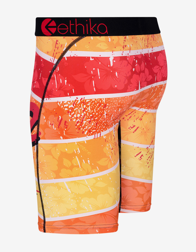 ETHIKA Ohana Forever Staple Boys Boxer Briefs image number 1