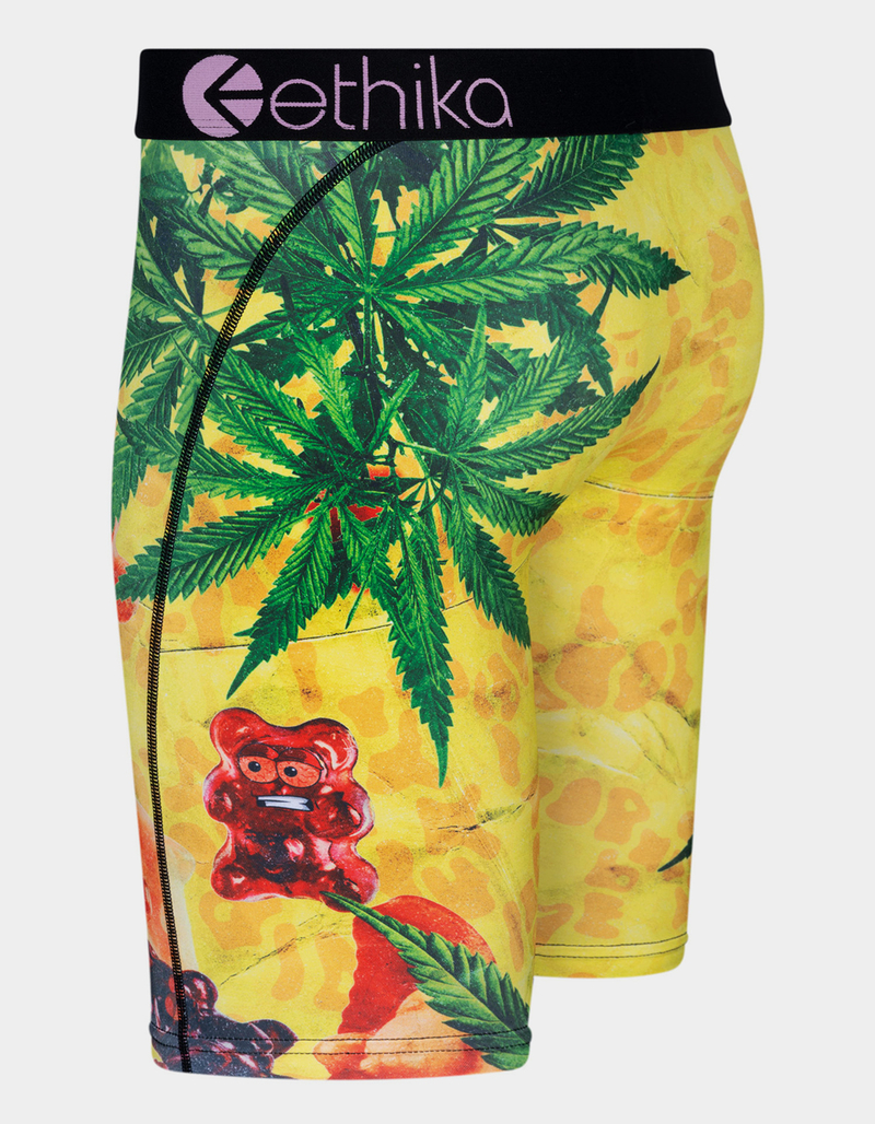 ETHIKA Serving Size Staple Mens Boxer Briefs image number 1