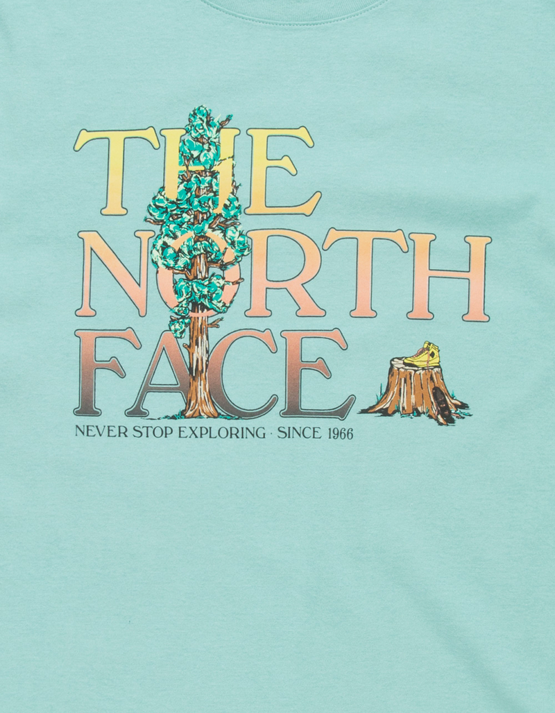 THE NORTH FACE Graphic Injection Mens Tee image number 1