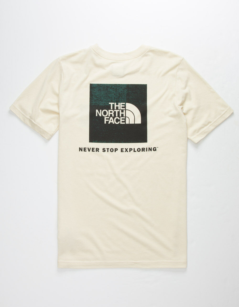 THE NORTH FACE Triblend Red Box Off White Boys T-Shirt image number 0