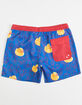 NEFF Americana Ducky Mens Volley Shorts image number 2
