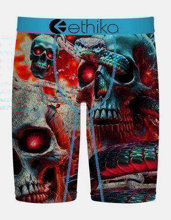 ETHIKA Snake Out Staple Boys Boxer Briefs Primary Image