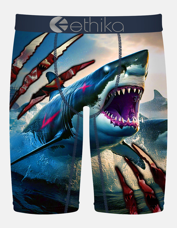 ETHIKA Jaw Dropped Staple Boys Boxer Briefs Primary Image