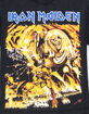 IRON MAIDEN Number Of The Beast Fire Mens Boxy Tee image number 3