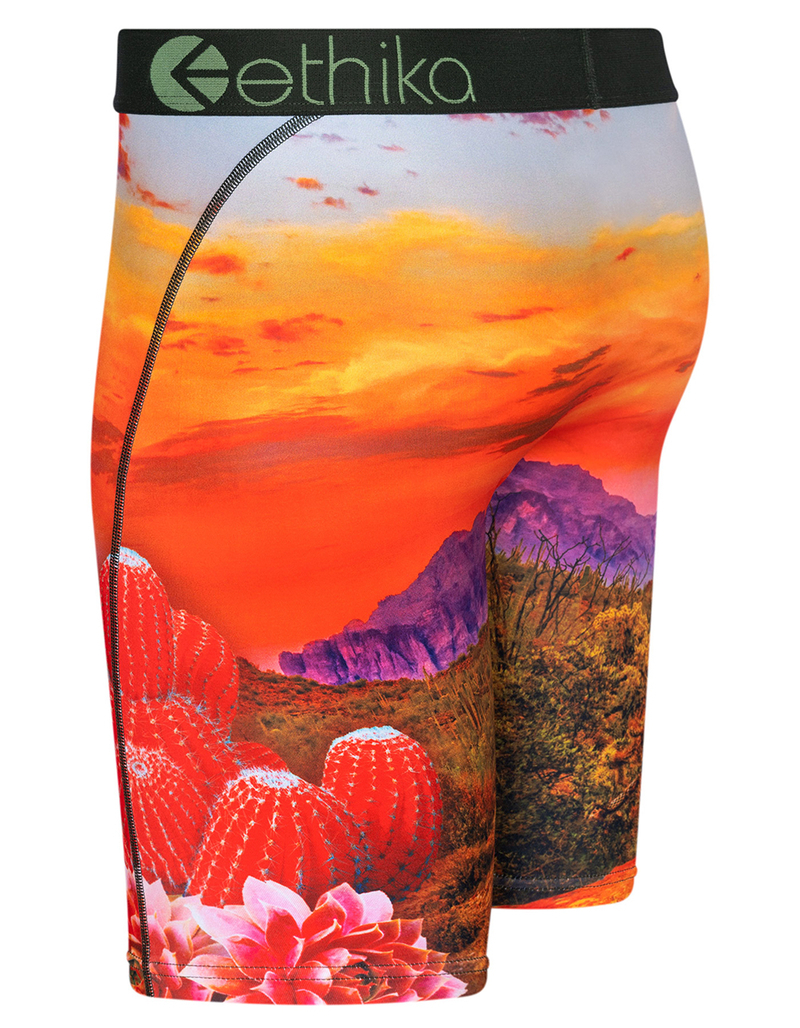 ETHIKA Desert Dog Staple Mens Boxer Briefs image number 1