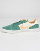 NIKE SB Team Classic Bicoastal & Celestial Gold Shoes image number 4