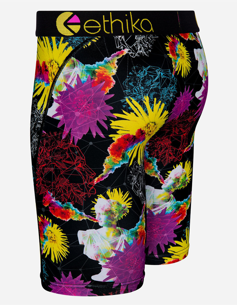 ETHIKA Imaginate Staple Boys Boxer Briefs image number 1