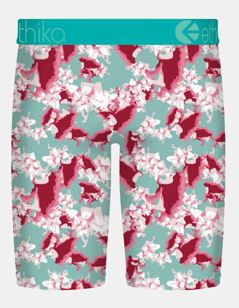ETHIKA In Bloom Staple Boys Boxer Briefs Alternative Image