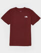 THE NORTH FACE Box NSE Mens Tee image number 2
