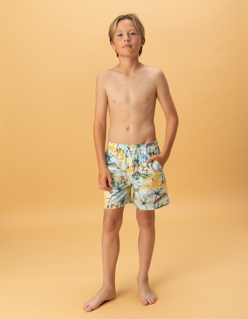 RSQ Boys Water Color Scenic Swim Trunks image number 6