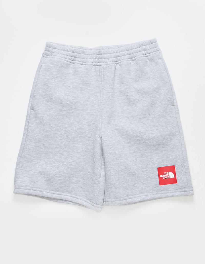 THE NORTH FACE Camp Boys Sweat Shorts image number 0