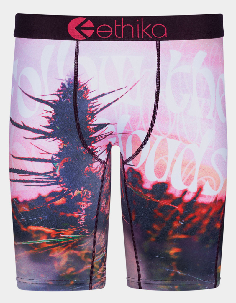 ETHIKA Aim High Staple Mens Boxer Briefs image number 0