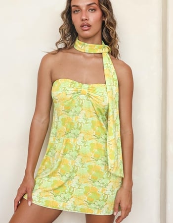 DIPPIN' DAISY'S Tusk and Stride Dress Primary Image