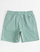 SALTY CREW Rail Mens Sweat Shorts image number 2