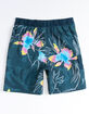 BILLABONG Sundays Pro Little Boys Boardshorts (4-7) image number 2