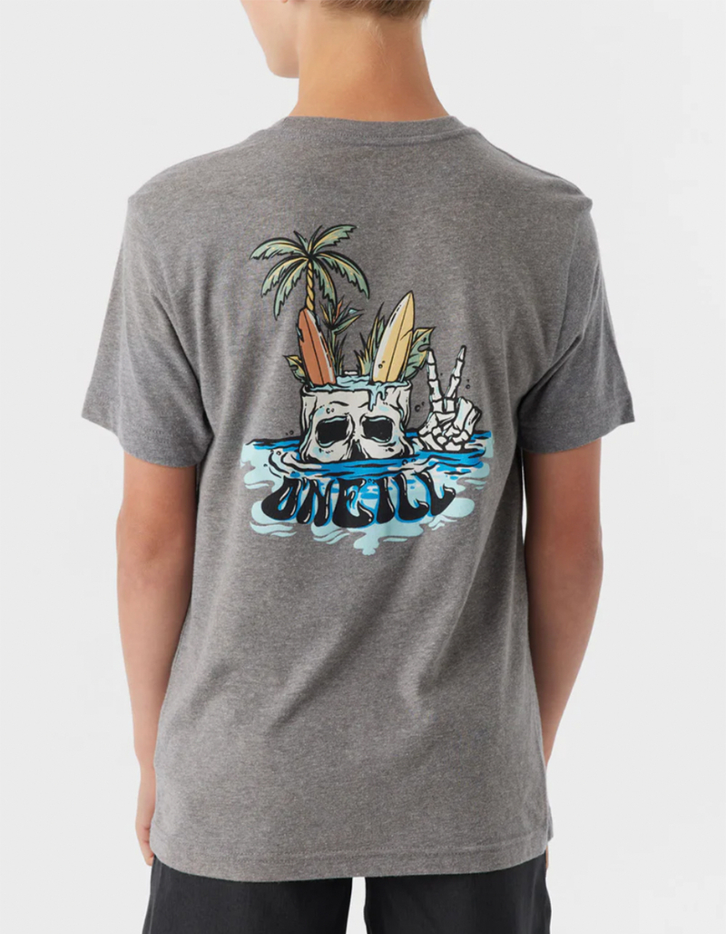 O'NEILL Bobber Boys Tee image number 3