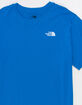 THE NORTH FACE Evolution Box Fit Mens Tee image number 2