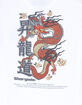 PLEASANT GETAWAY Shoryudo Mens Tee image number 3