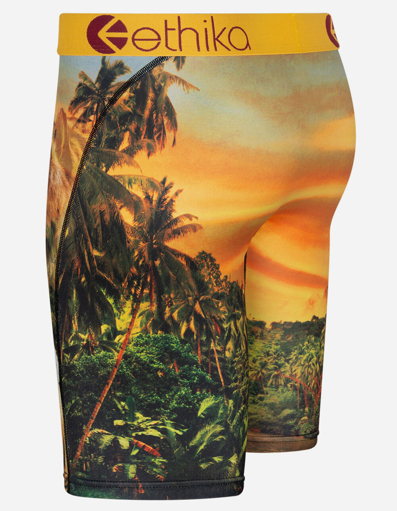 ETHIKA Easy Tiger Mens Boxer Briefs image number 1