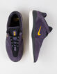 NIKE SB Vertebrae Shoes image number 5