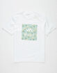 RVCA Pineapple Fill ATW Boys T-Shirt image number 1