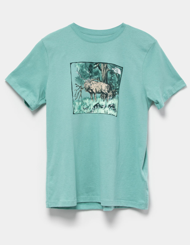 THE NORTH FACE Graphic Injection Womens Tee image number 2