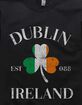 IRELAND Dublin Clover Flag Distressed Unisex Crewneck Sweatshirt image number 2