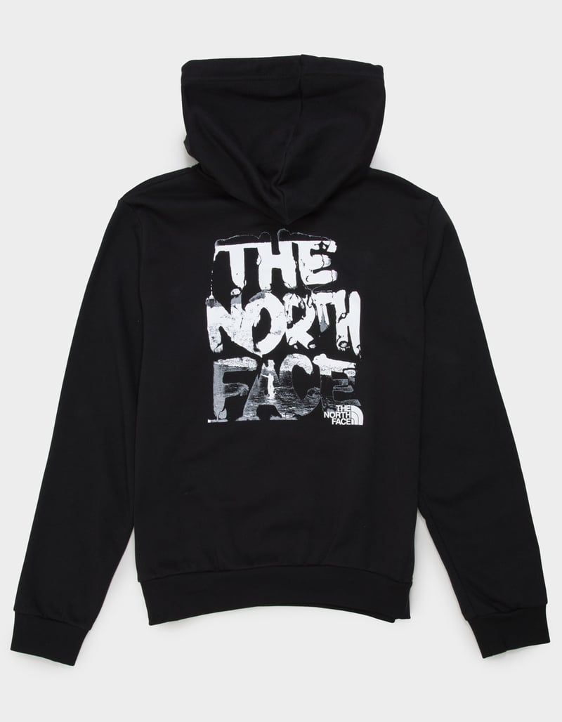 THE NORTH FACE Evolution Nature Mens Hoodie image number 0