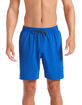 NIKE Solid Mens Royal Boardshorts image number 3
