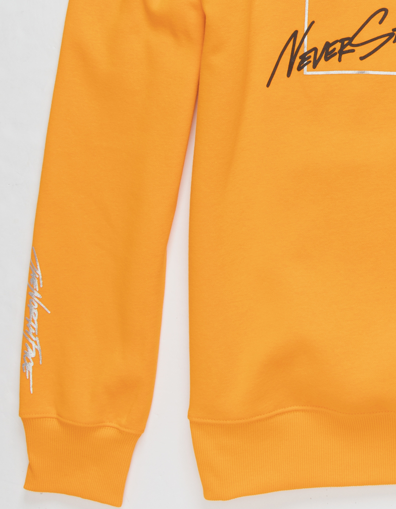 NORTH FACE Graphic Injection Mens Hoodie image number 3