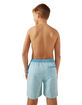 CHUBBIES Whale Sharks Boys 5.5'' Volley Shorts image number 4