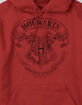 HARRY POTTER Hogwarts Crest Unisex Hoodie image number 2