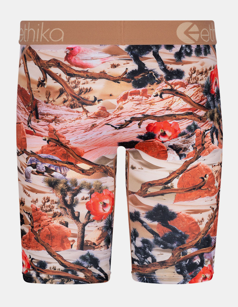 ETHIKA Joshua Camo Staple Boys Boxer Briefs image number 2