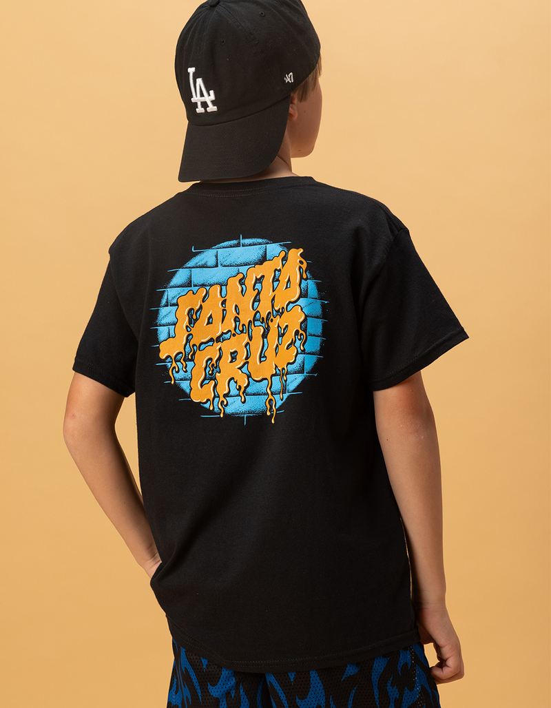 SANTA CRUZ Delfino Spotlight Dot Boys Tee image number 0