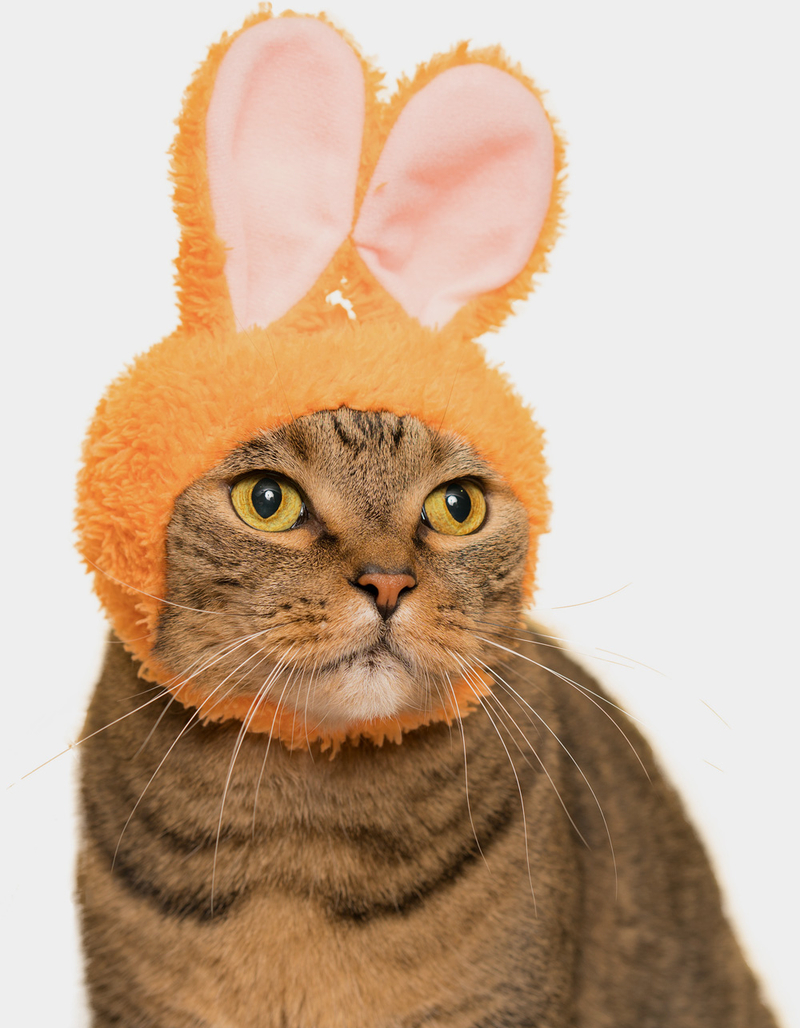 Cat Cap Blind Box - Rabbit image number 2