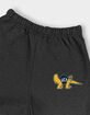 UNIVERSITY OF CALIFORNIA IRVINE School Logo Mens Sweatpants image number 3
