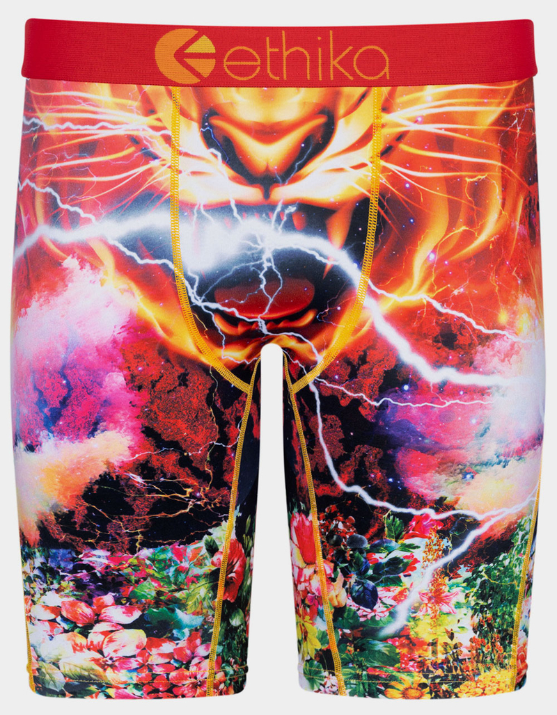 ETHIKA Tiger Storm Staple Mens Boxer Briefs image number 0
