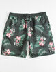 NEFF x Disney Tropical Mens Volley Shorts image number 2