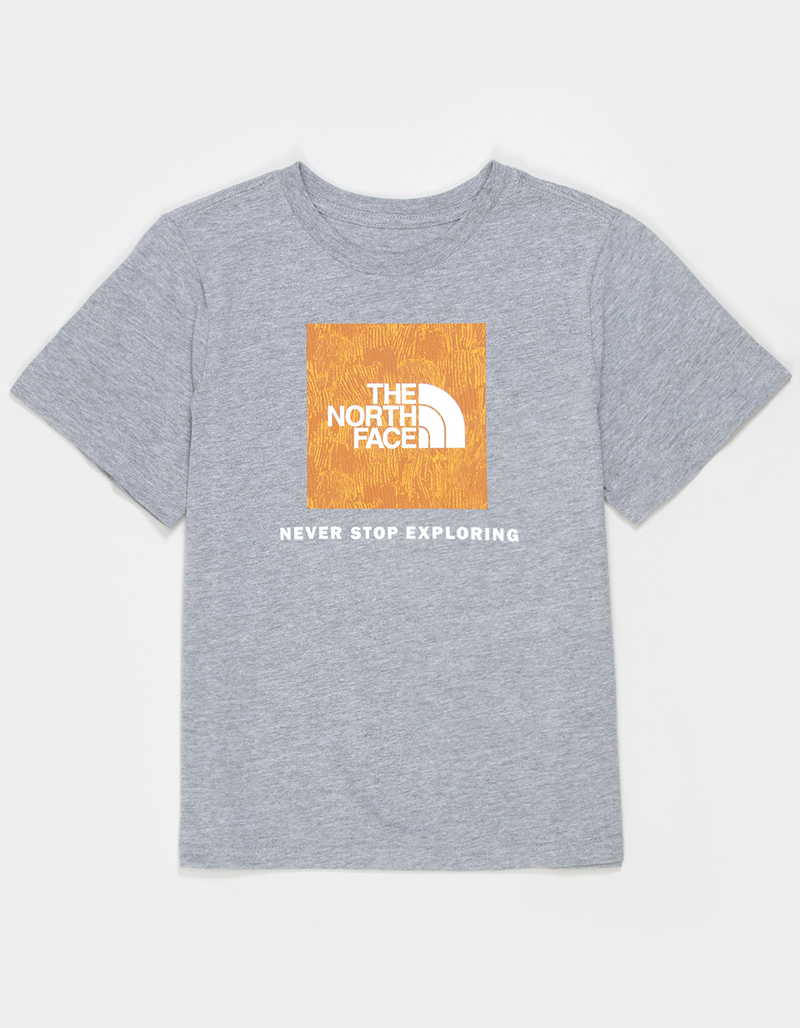 THE NORTH FACE Evo Print Box NSE Boys Tee image number 0