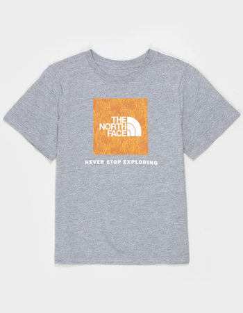 THE NORTH FACE Evo Print Box NSE Boys Tee Primary Image
